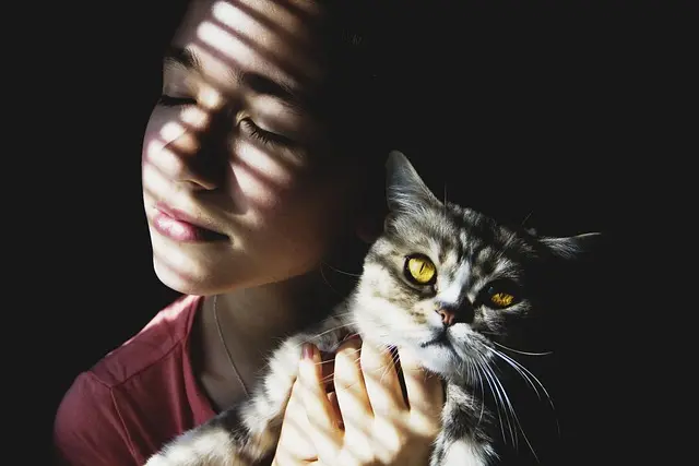 aime t-elle les animaux de compagnie